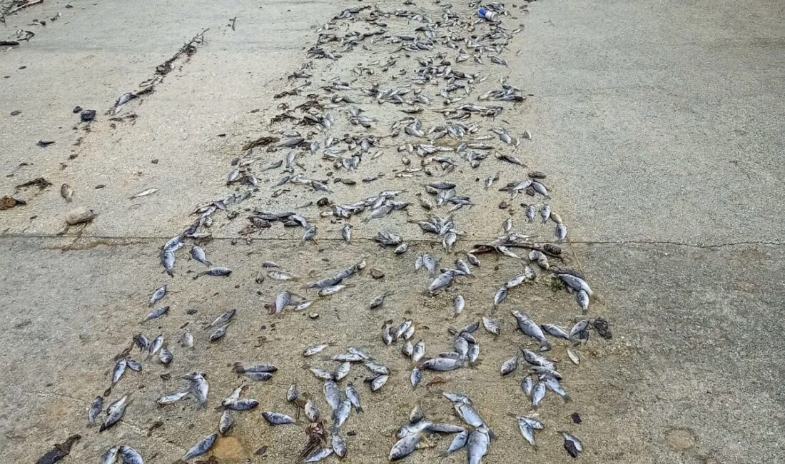 Isparta’nın Keçiborlu İlçesine bağlı Kozluca