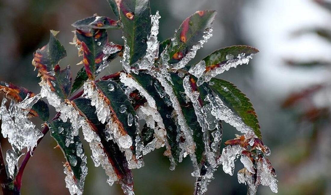 Meteoroloji 4.Bölge Müdürlüğü tarafından yapılan
