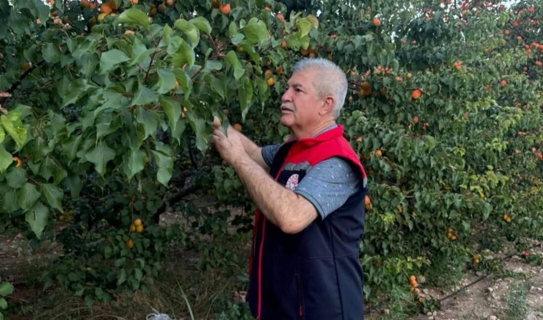 İlçemize bağlı Aşağı Kaşıkara, Yukarı