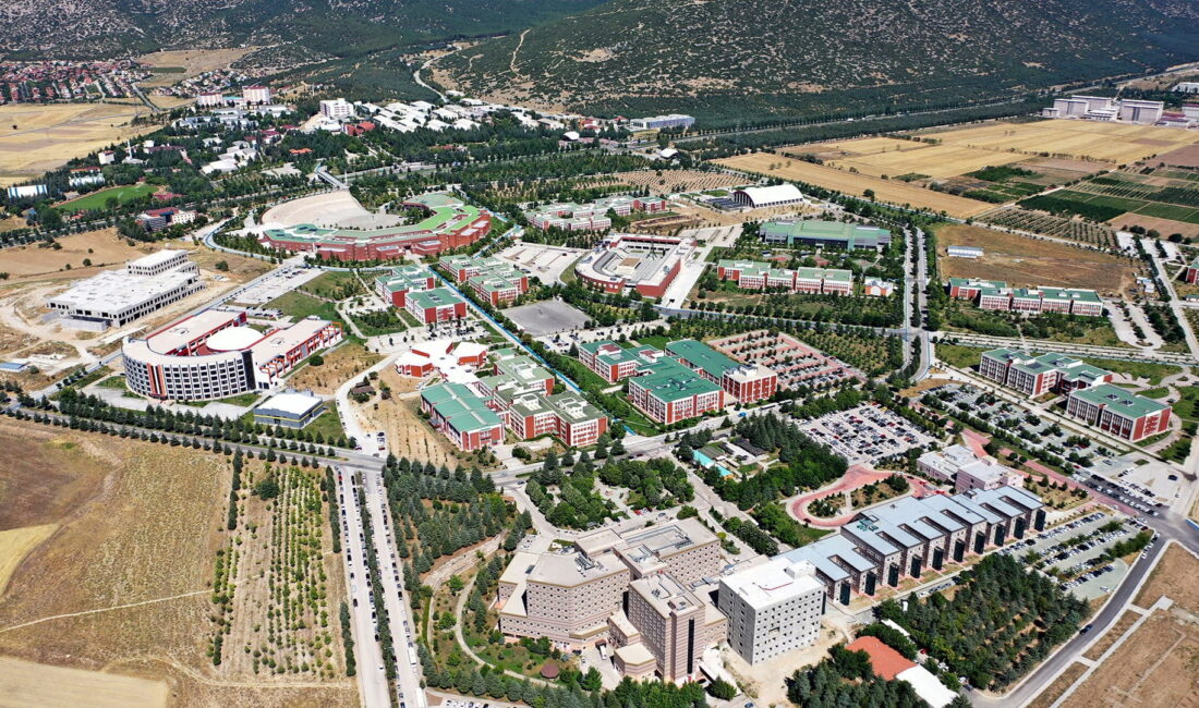 Süleyman Demirel Üniversitesi; hemşire, sağlık
