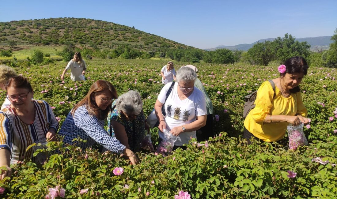 Gülbirlik Yönetim Kurulu yaptığı toplantıda