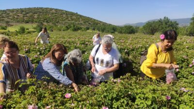Gülbirlik Yönetim Kurulu yaptığı toplantıda daha önce açıklanan kilo başına